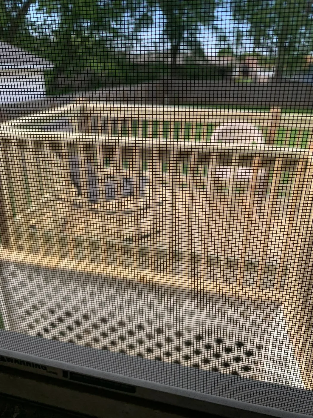 Second-story wood deck with sturdy railing on a Central Illinois home