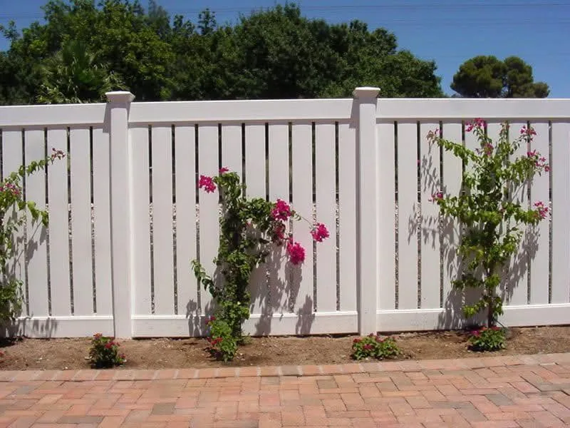White vinyl privacy fence with climbing roses in a Central Illinois backyard